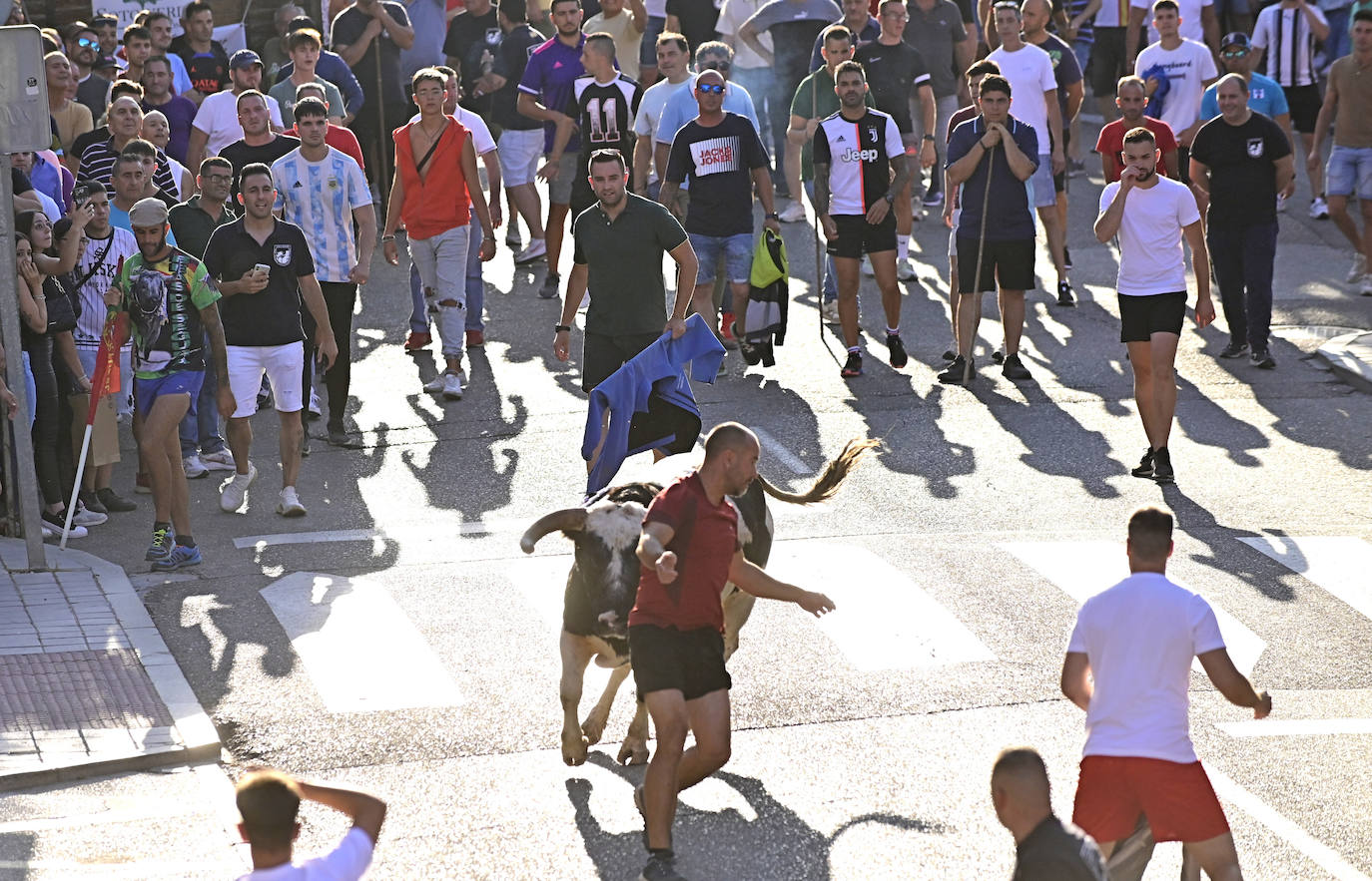 El encierro de las fiestas de Tudela en imágenes