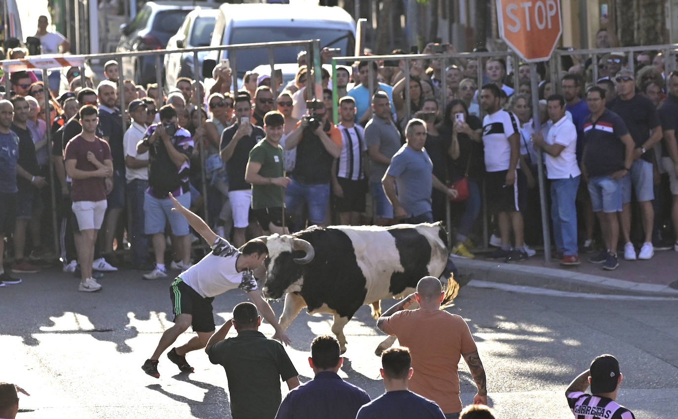 El encierro de las fiestas de Tudela en imágenes