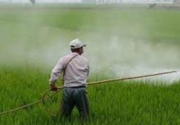 Un tercio de los pesticidas presentes en nuestra comida son tóxicos