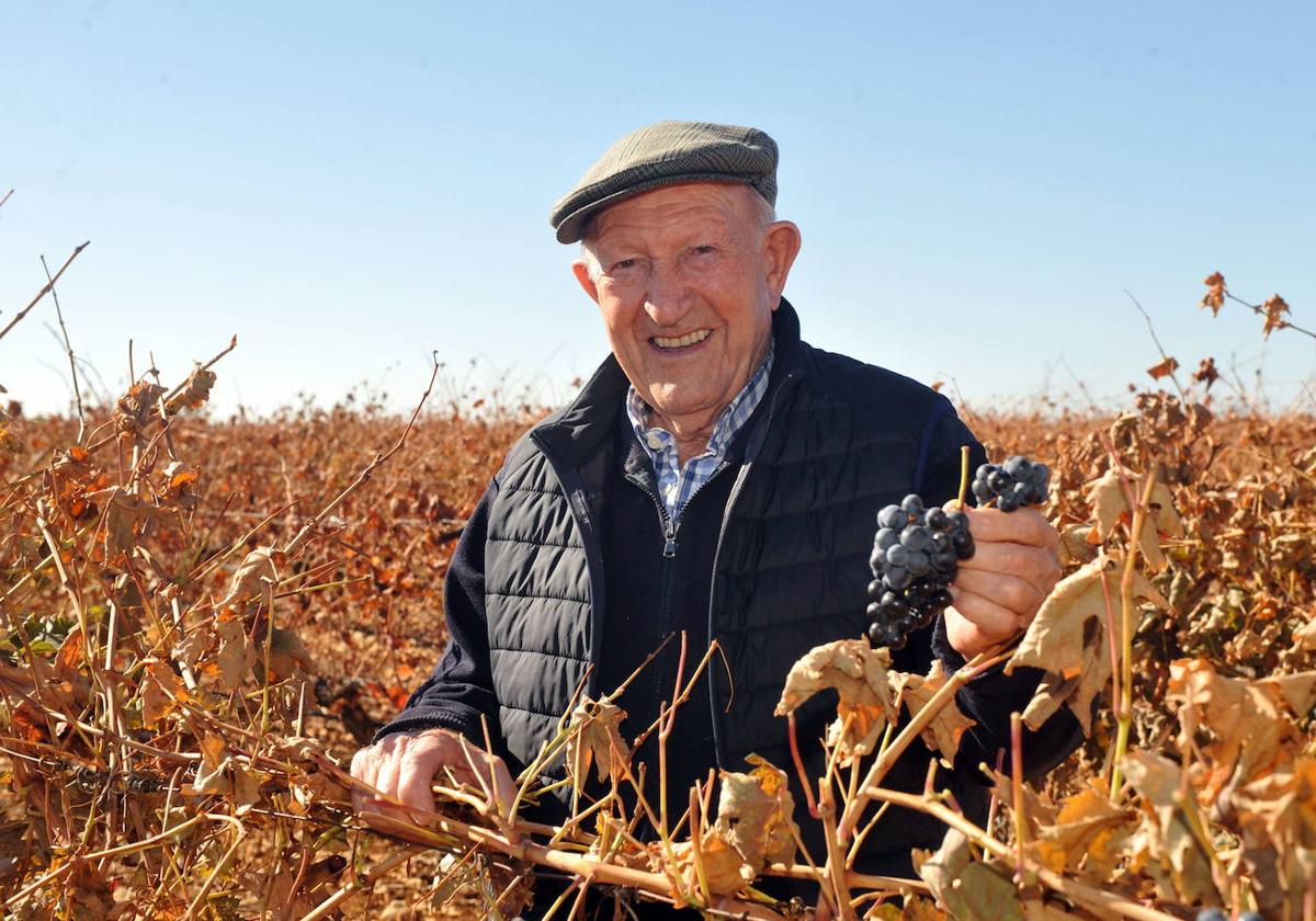 El bodeguero Alejandro Fernández, en sus viñedos de Pesquera.