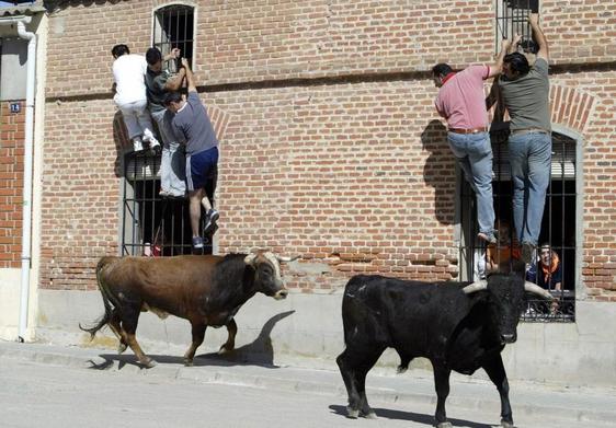 Encierro de Pozaldez en una imagen de archivo.