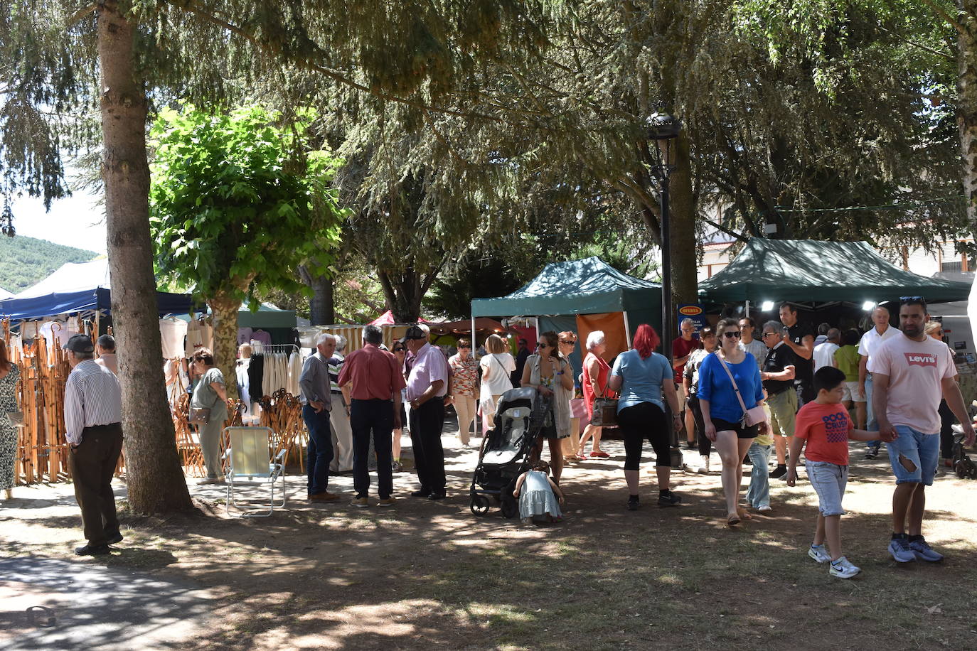 Éxito de la Feria de Artesanía y Productos de la Montaña Palentina en Cervera