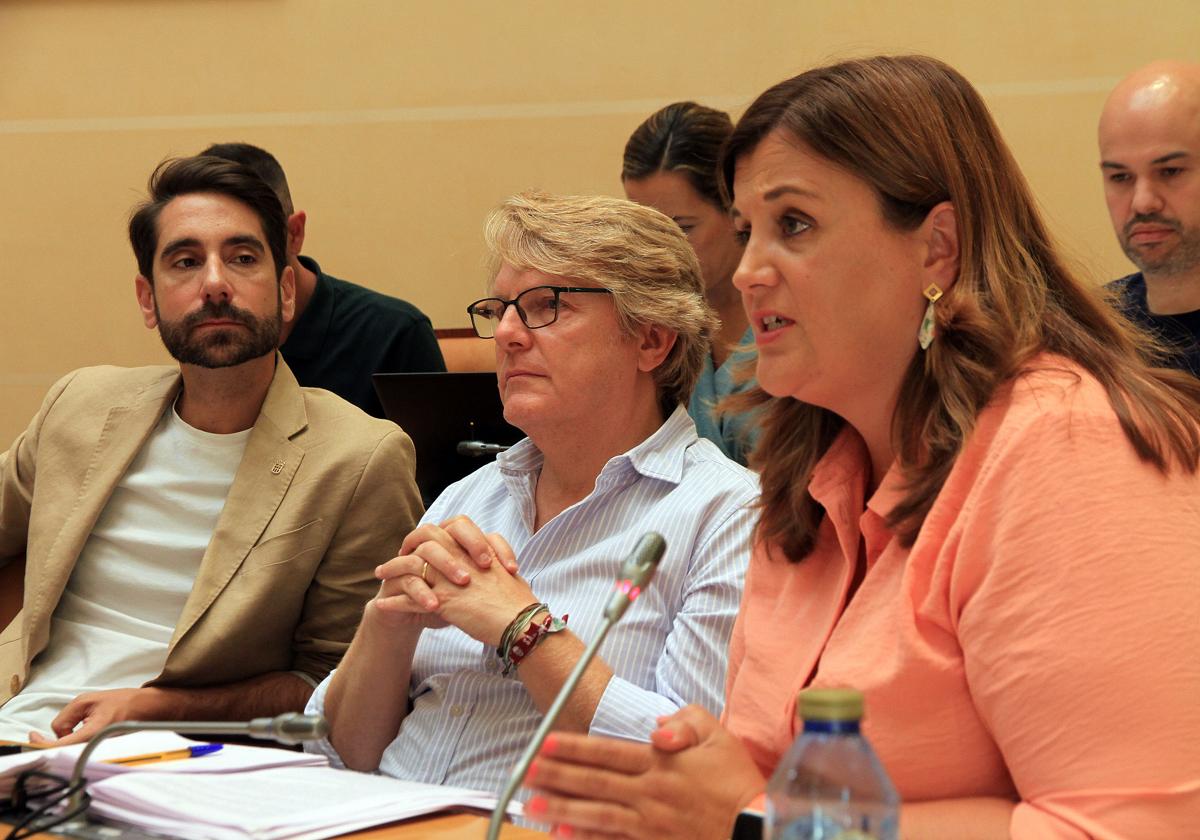 Clara Martín interviene en el anterior como portavoz del PSOE en el Ayuntamiento de Segovia.