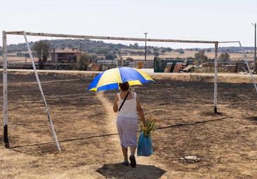 Castilla y León contabiliza este año 670 incendios, la mayoría sofocados con «rapidez»