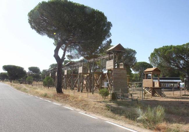 Carretera situada junto a un parque en el pinar de Antequera.