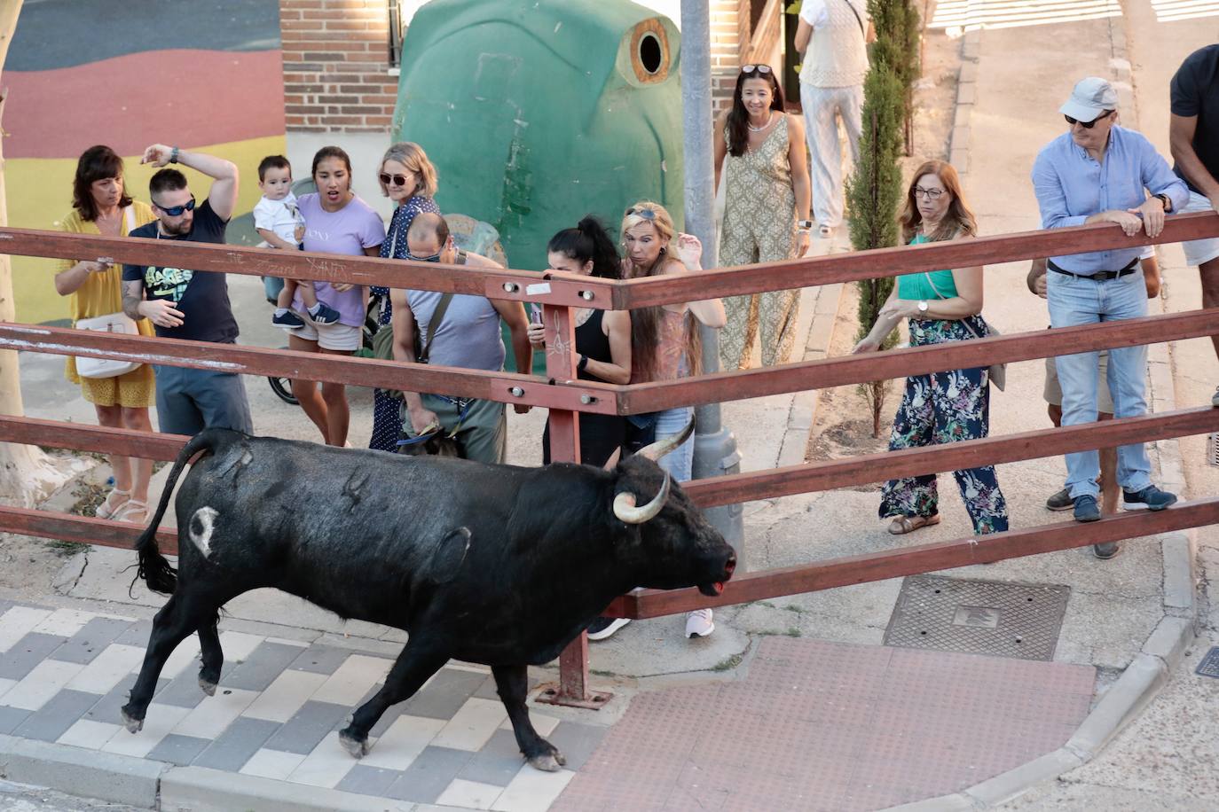 El encierro de La Seca, en imágenes