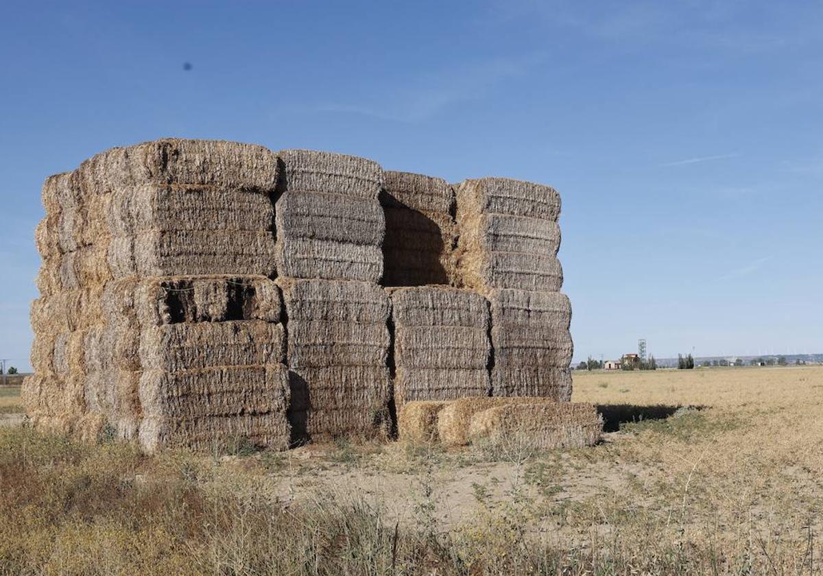 Pacas apiladas en Tierra de Campos.