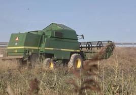 Una cosechadora trabaja en los campos de Mazariegos.