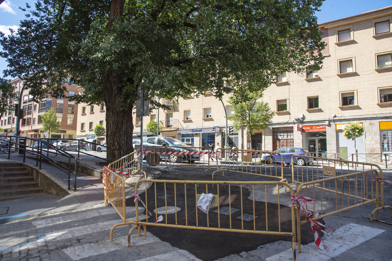 El olmo pegado a las vallas que cercan la zanja de la obra de renovación de una tubería en Ezequiel González.