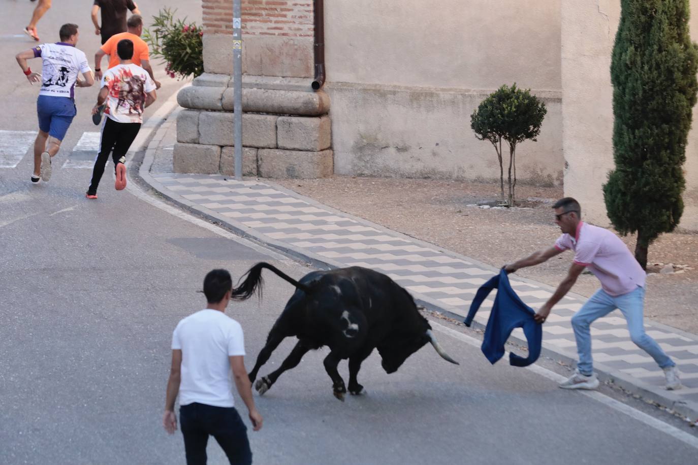 El segundo encierro de toros de La Seca, en imágenes