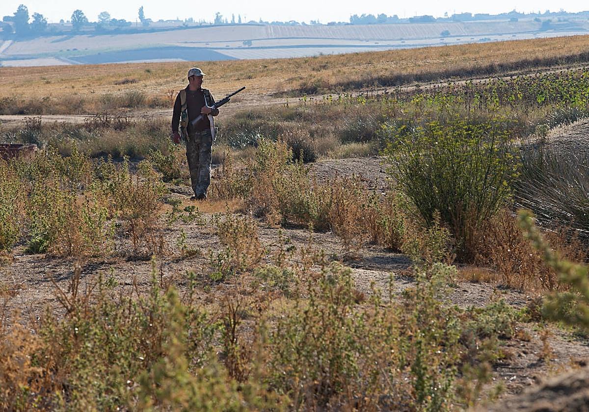 Cazadores de Tardobispo durante en el inicio de la temporada de media veda en Castilla y León.
