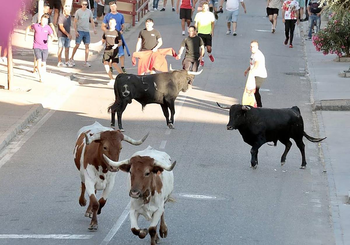 Uno de los encierros celebrado en La Seca.