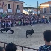 En la UCI el hombre con el que se ensañan los toros tras ser arrollado por un buey