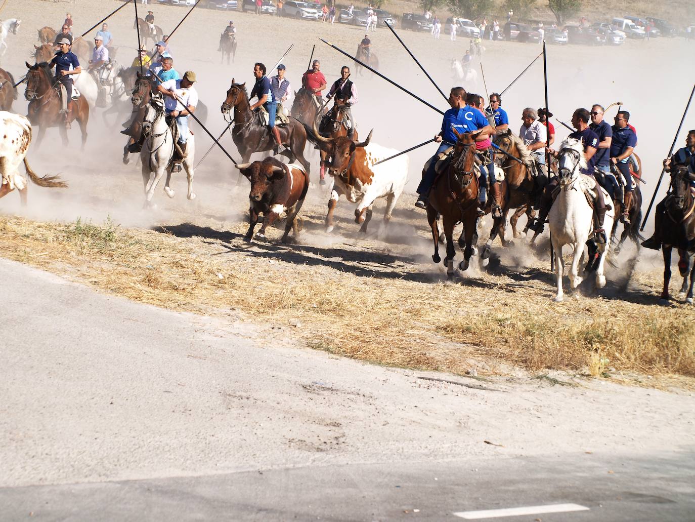 El encierro mixto de Íscar, en imágenes