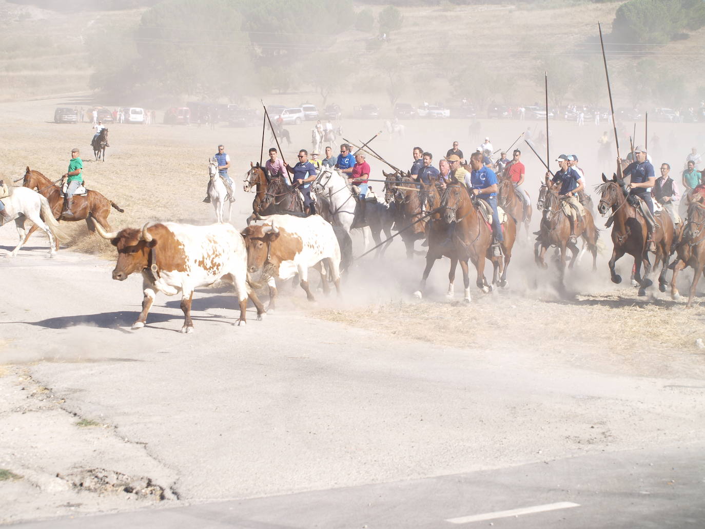 El encierro mixto de Íscar, en imágenes