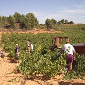 La Junta convoca ayudas para inversiones destinadas a las explotaciones agrarias