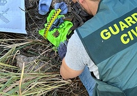 Material intervenido