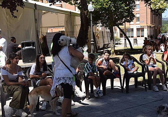 Concurso de mascotas en Guardo.