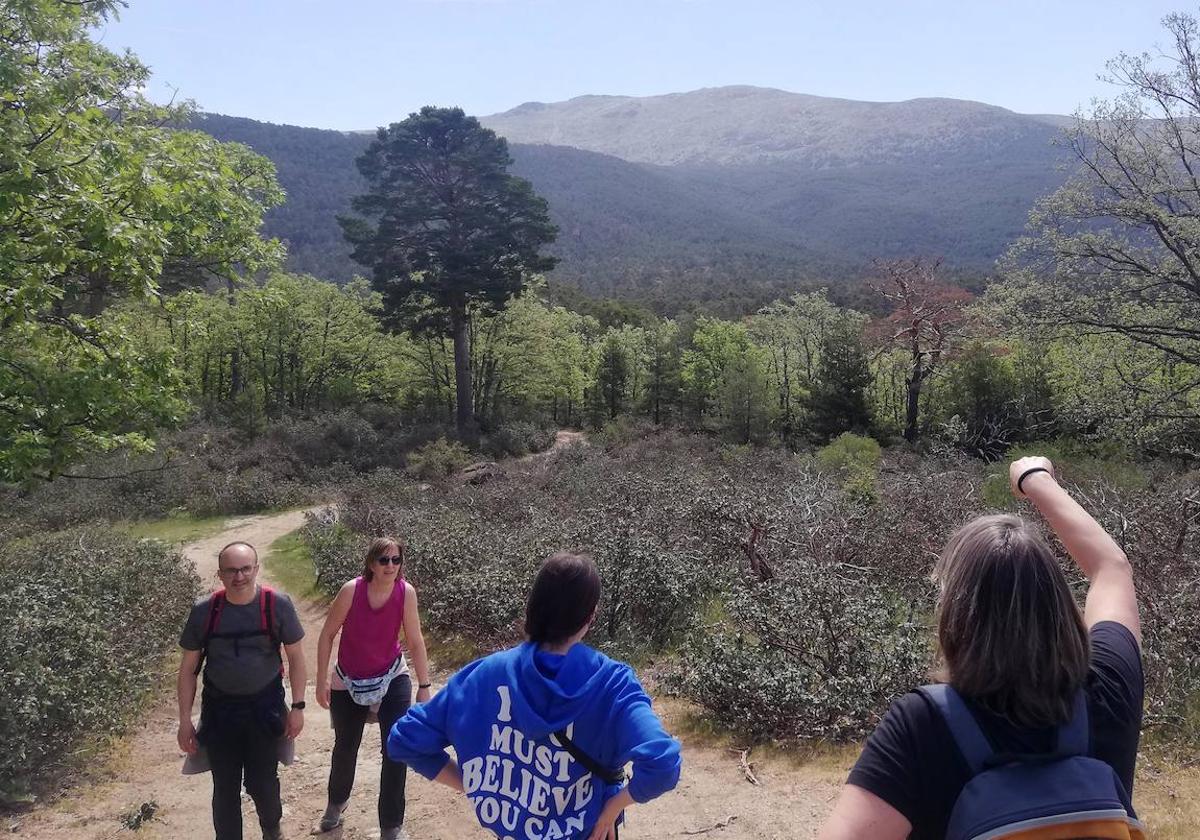 Un grupo de senderistas en el Parque Nacional Sierra de Guadarrama.