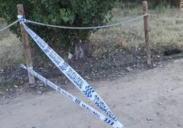 Zona acordonada por la Policía Local de Simancas donde se encontraba el proyectil.