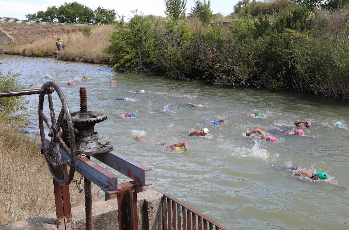 V Travesía a nado Canal de Castilla en Paredes de Nava