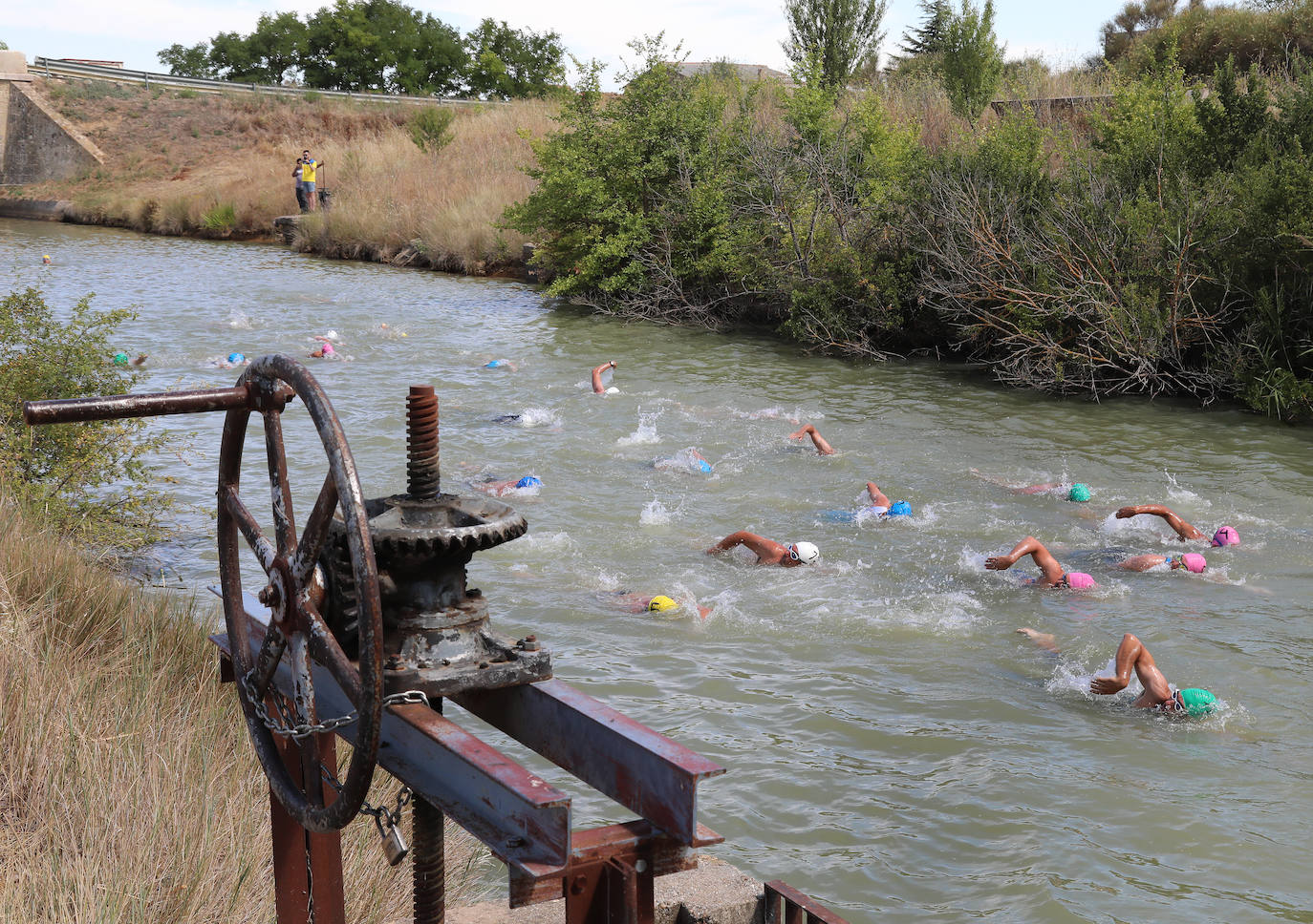 V Travesía a nado Canal de Castilla en Paredes de Nava