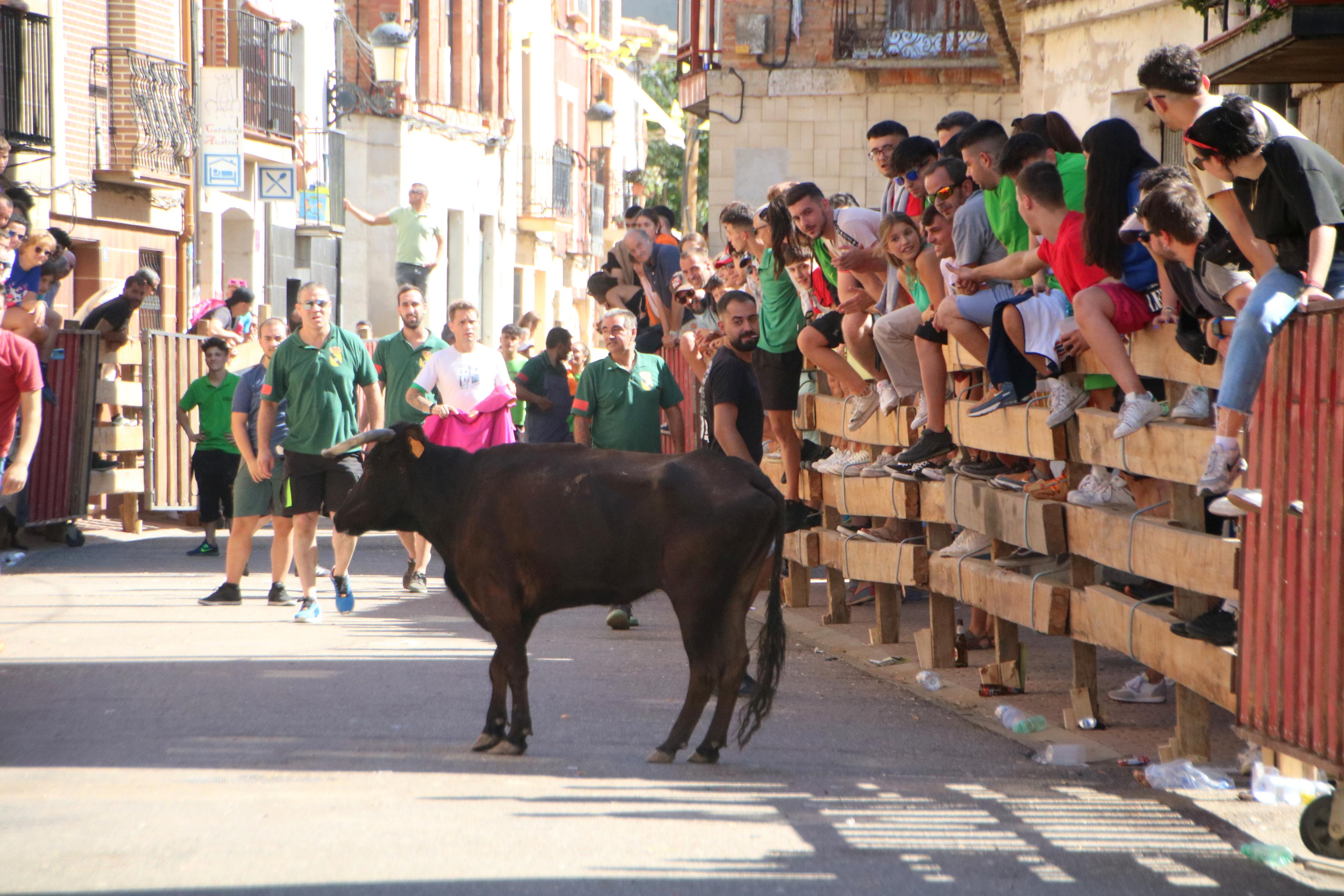 Torquemada, fiel a los encierros tradicionales