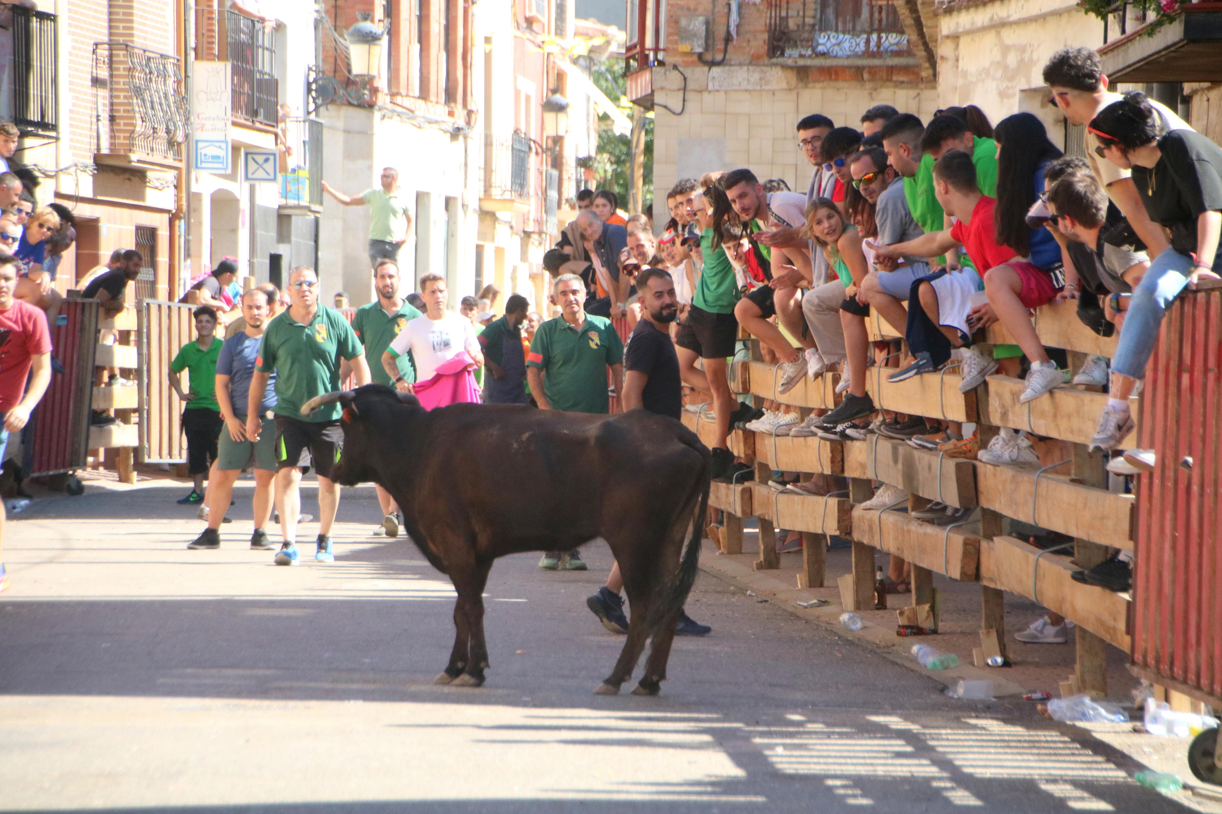 Torquemada, fiel a los encierros tradicionales