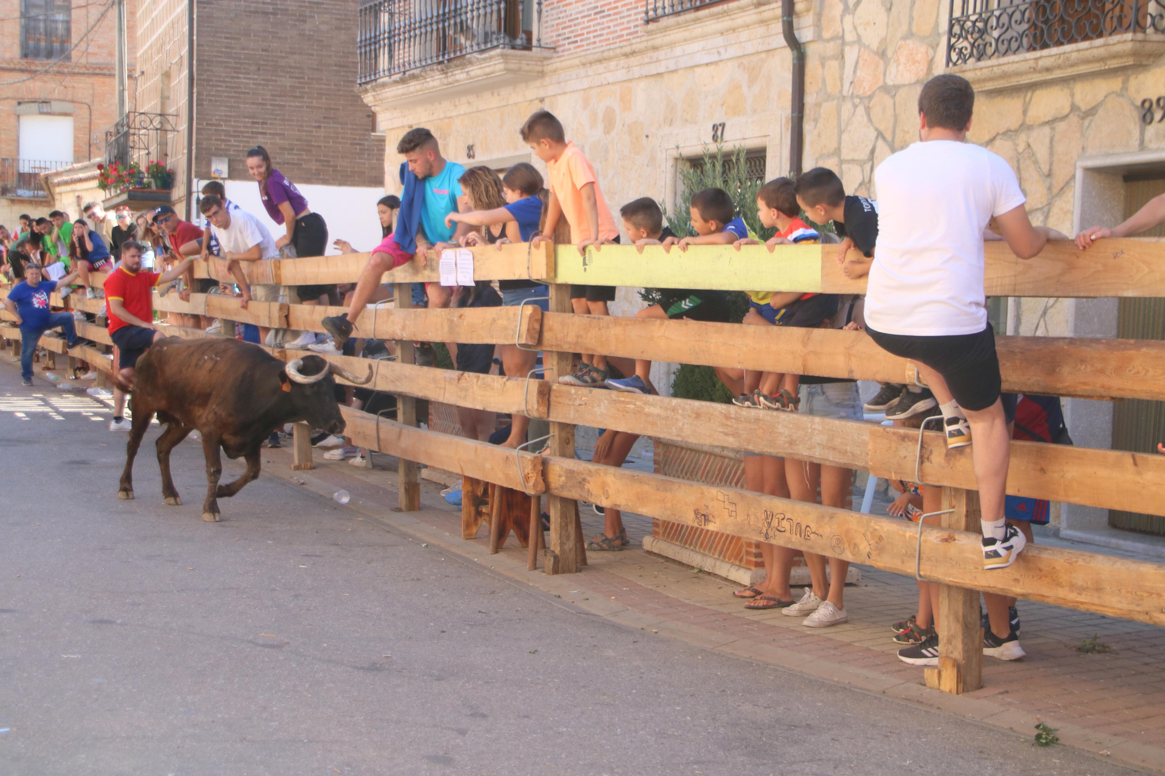 Torquemada, fiel a los encierros tradicionales