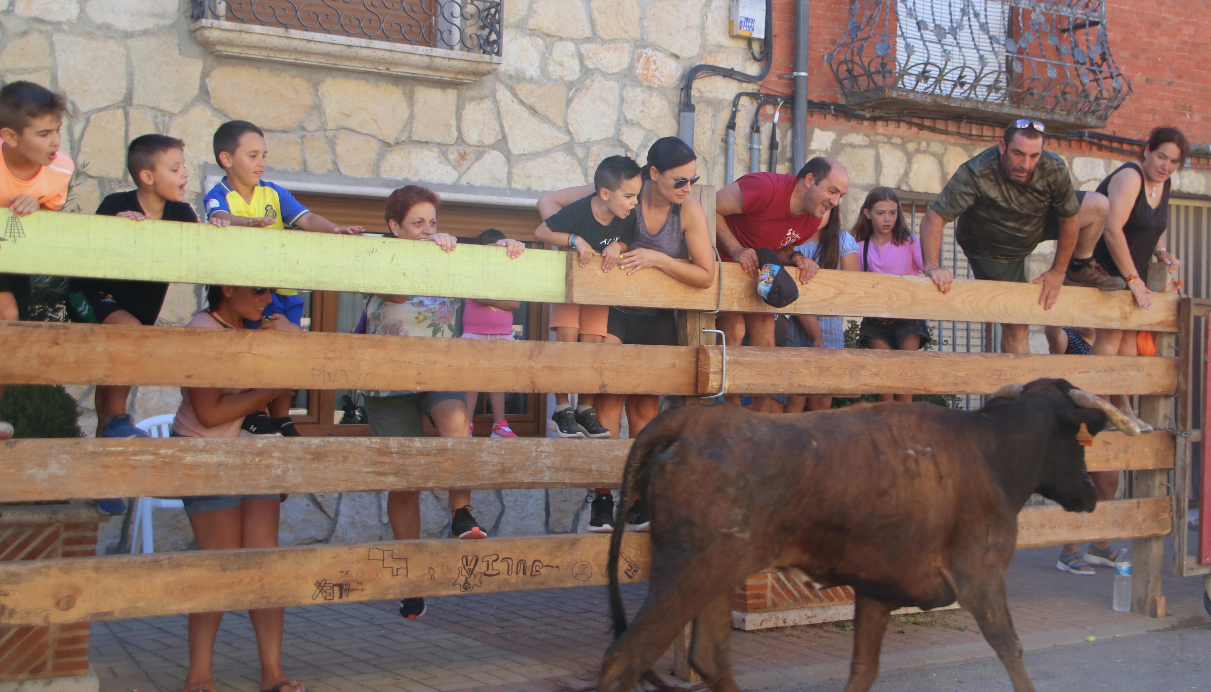 Torquemada, fiel a los encierros tradicionales