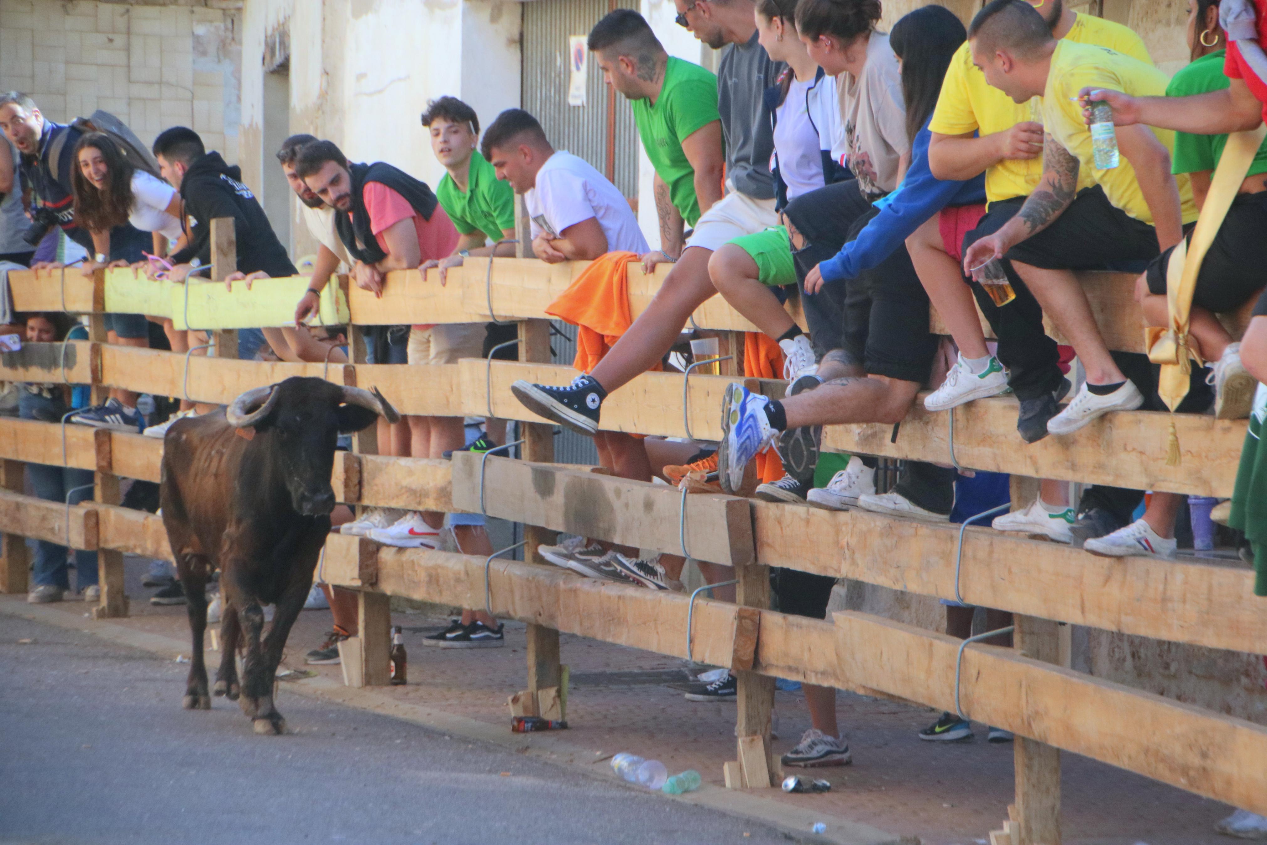 Torquemada, fiel a los encierros tradicionales