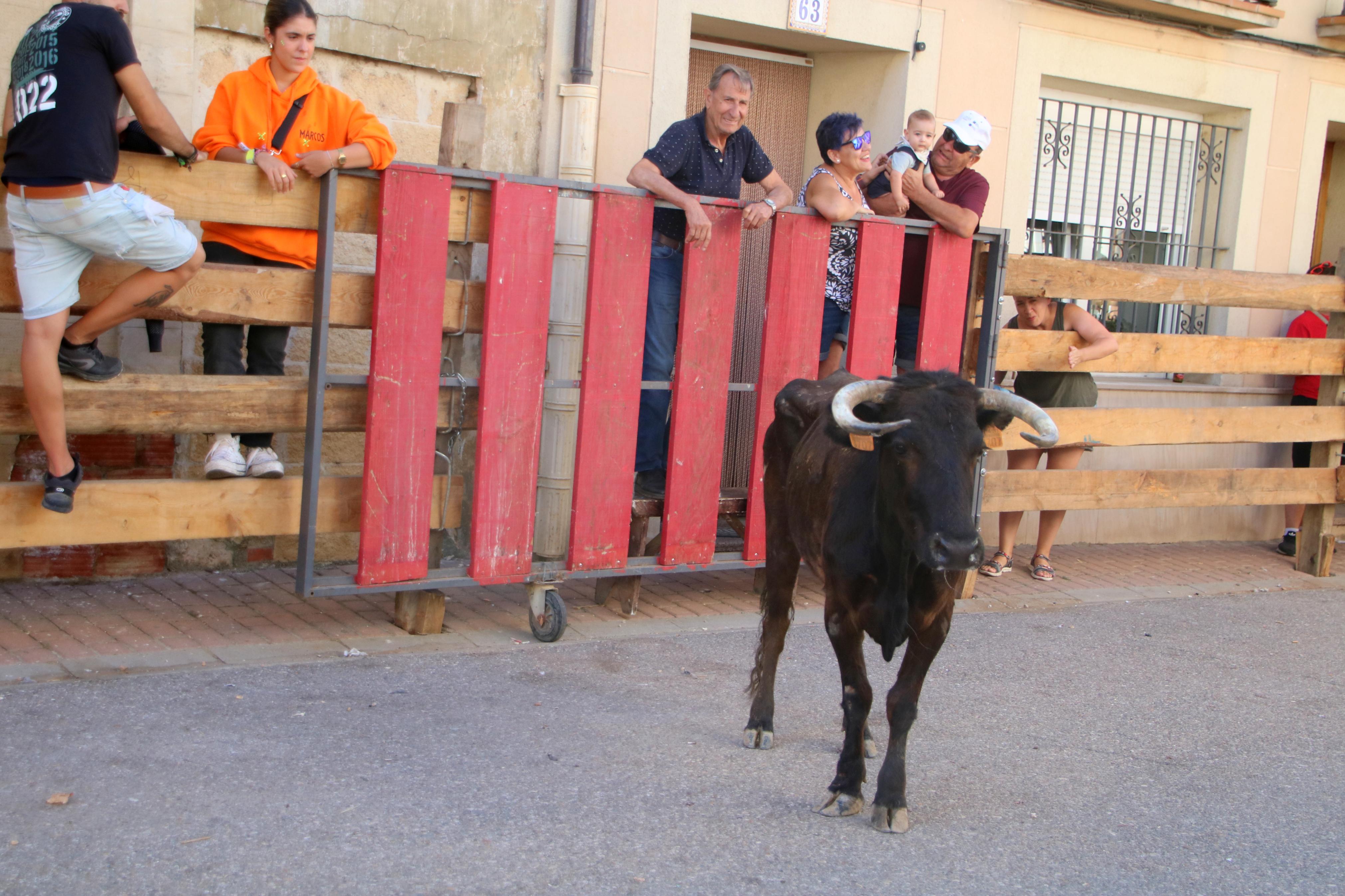 Torquemada, fiel a los encierros tradicionales