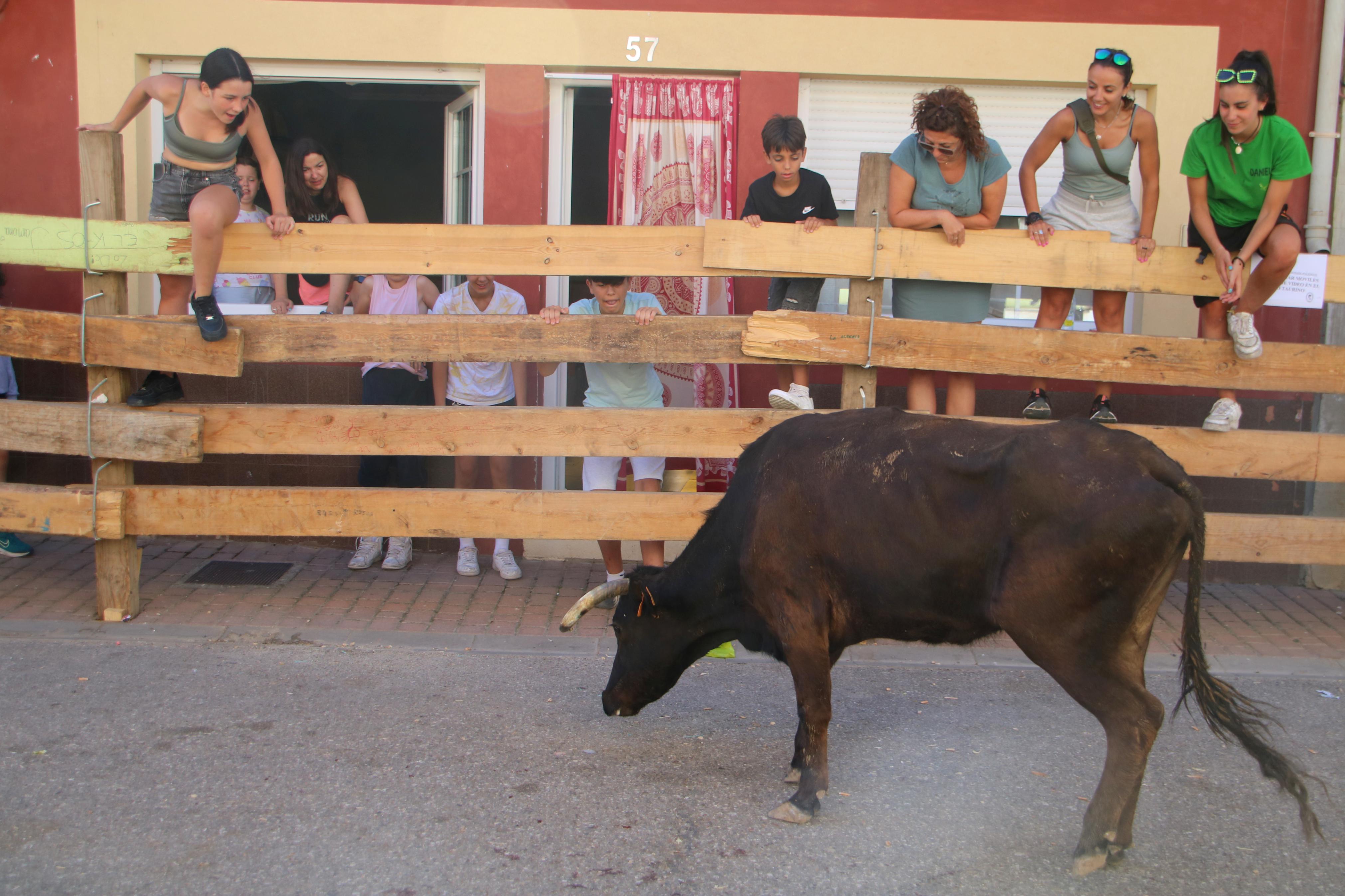 Torquemada, fiel a los encierros tradicionales