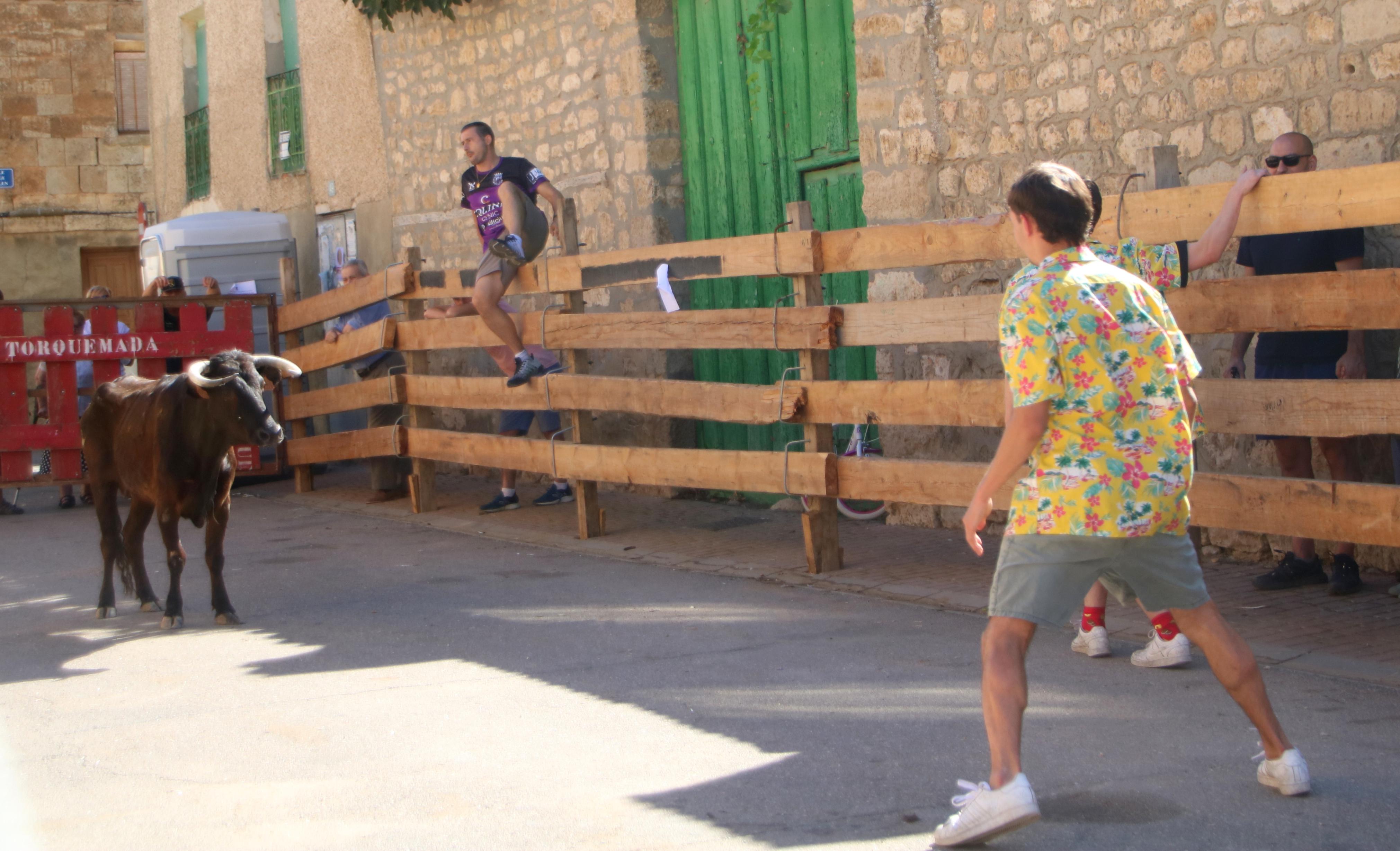 Torquemada, fiel a los encierros tradicionales