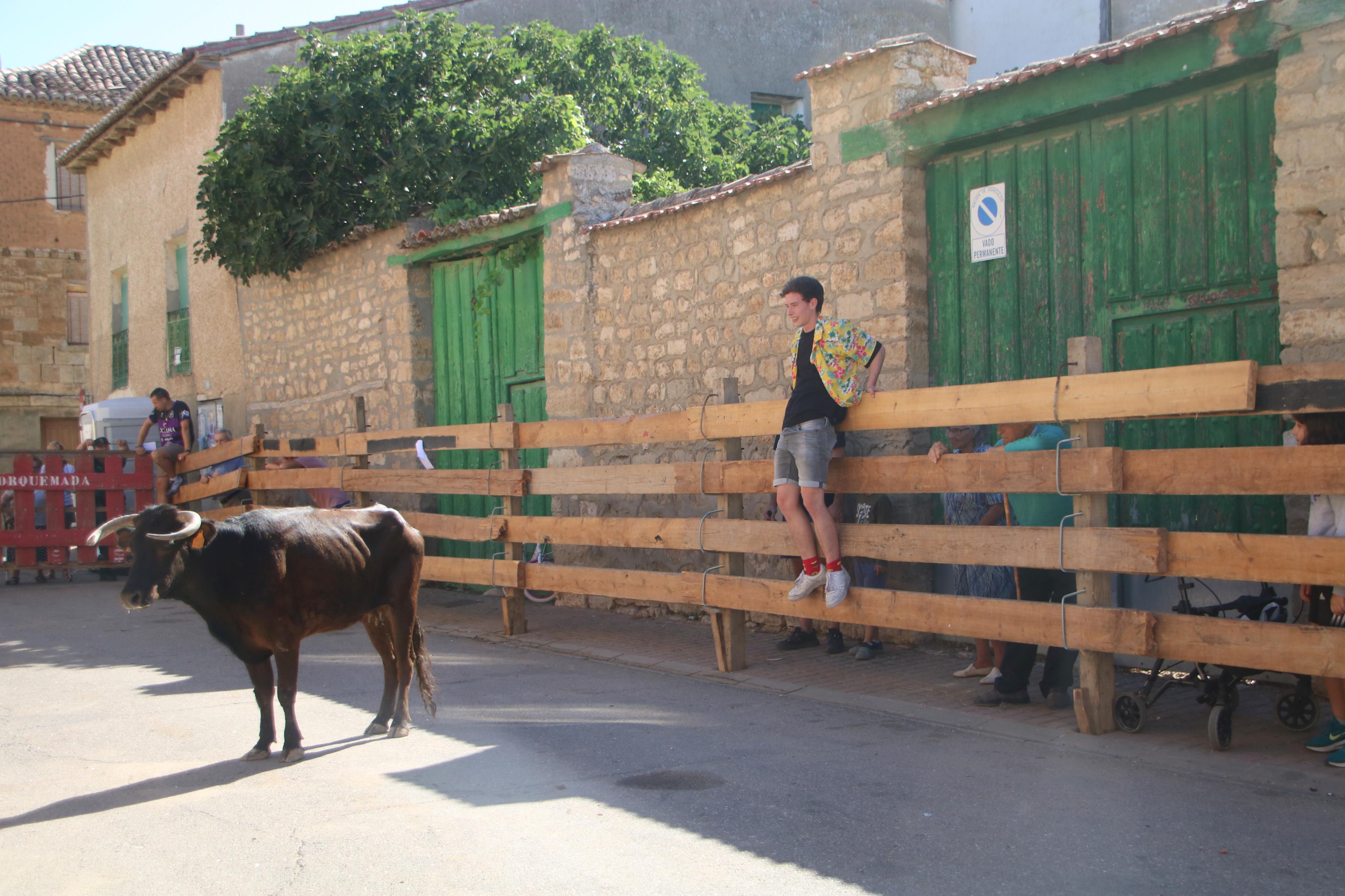 Torquemada, fiel a los encierros tradicionales