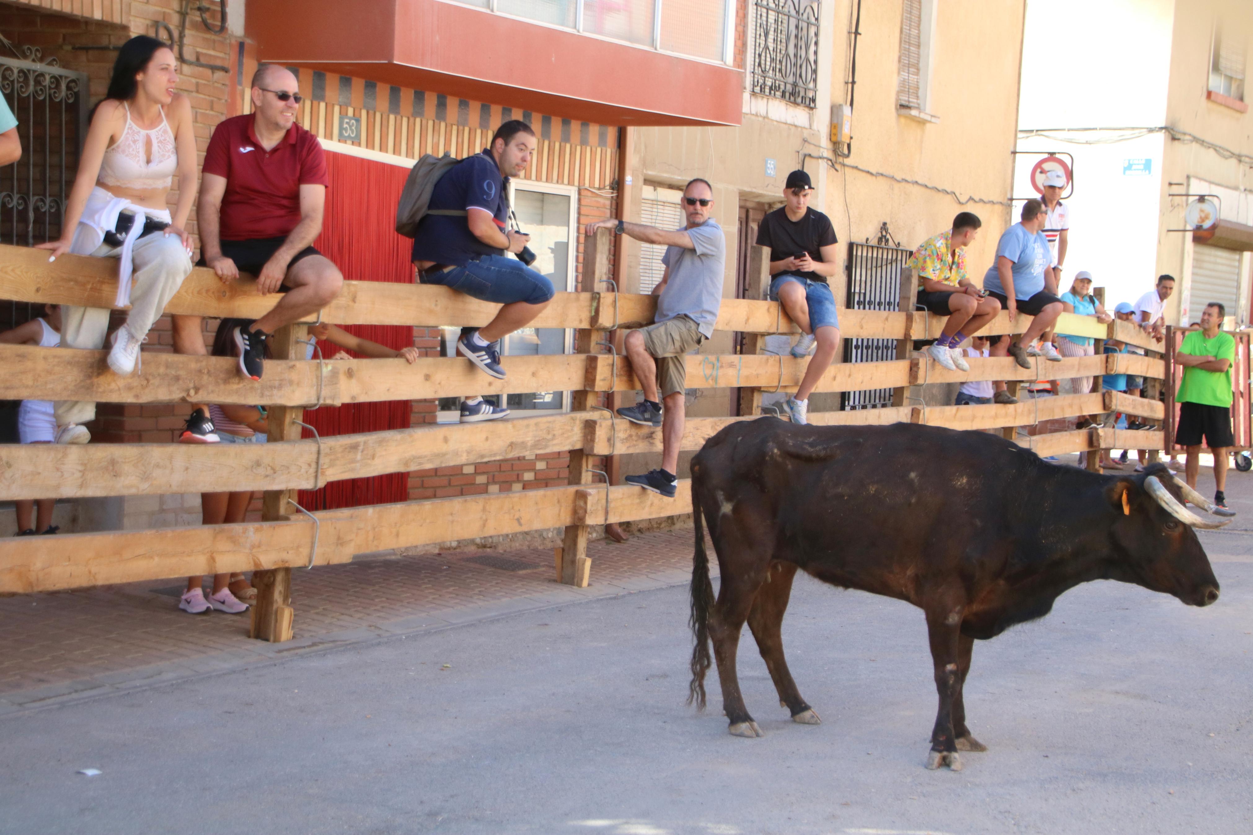 Torquemada, fiel a los encierros tradicionales