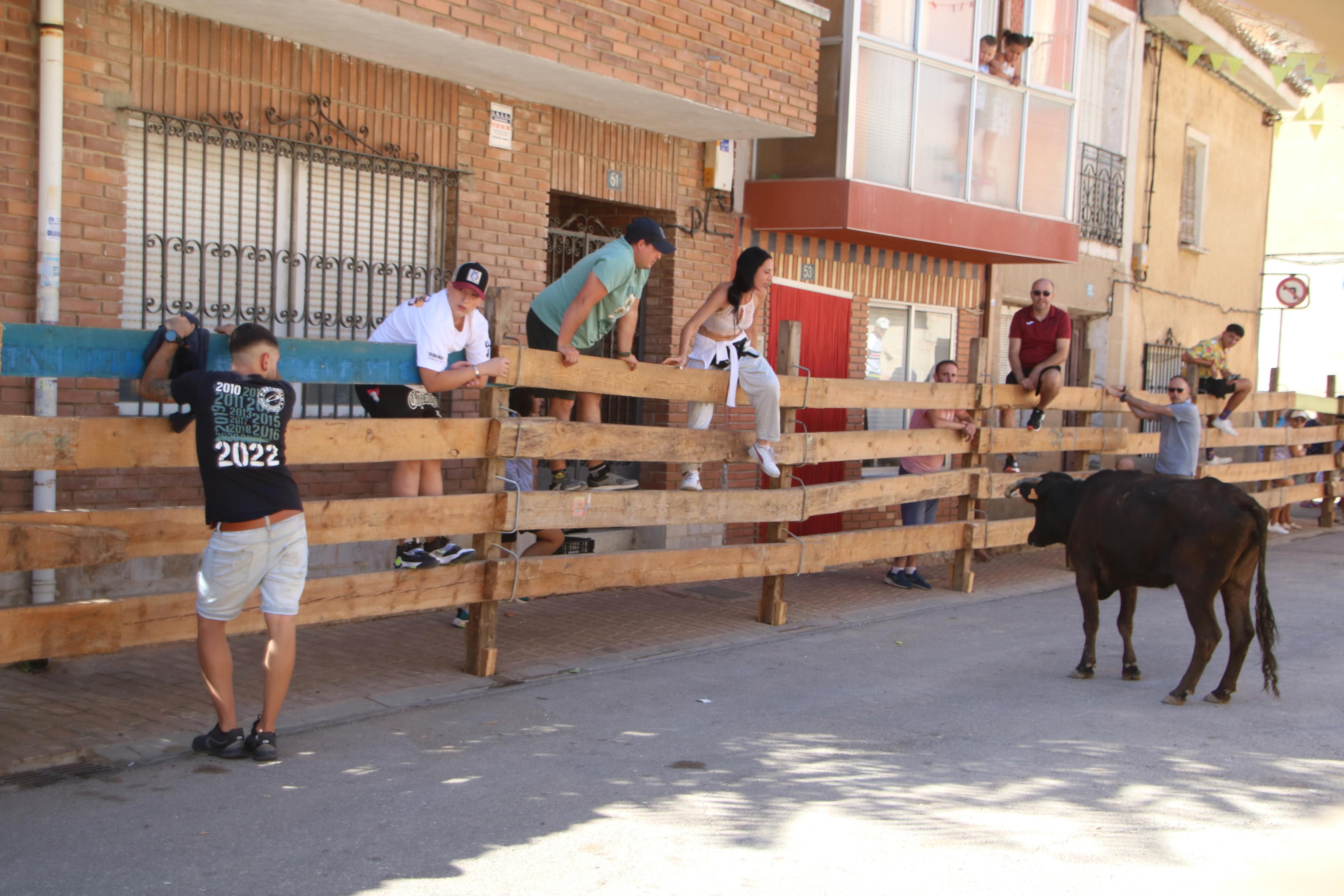 Torquemada, fiel a los encierros tradicionales