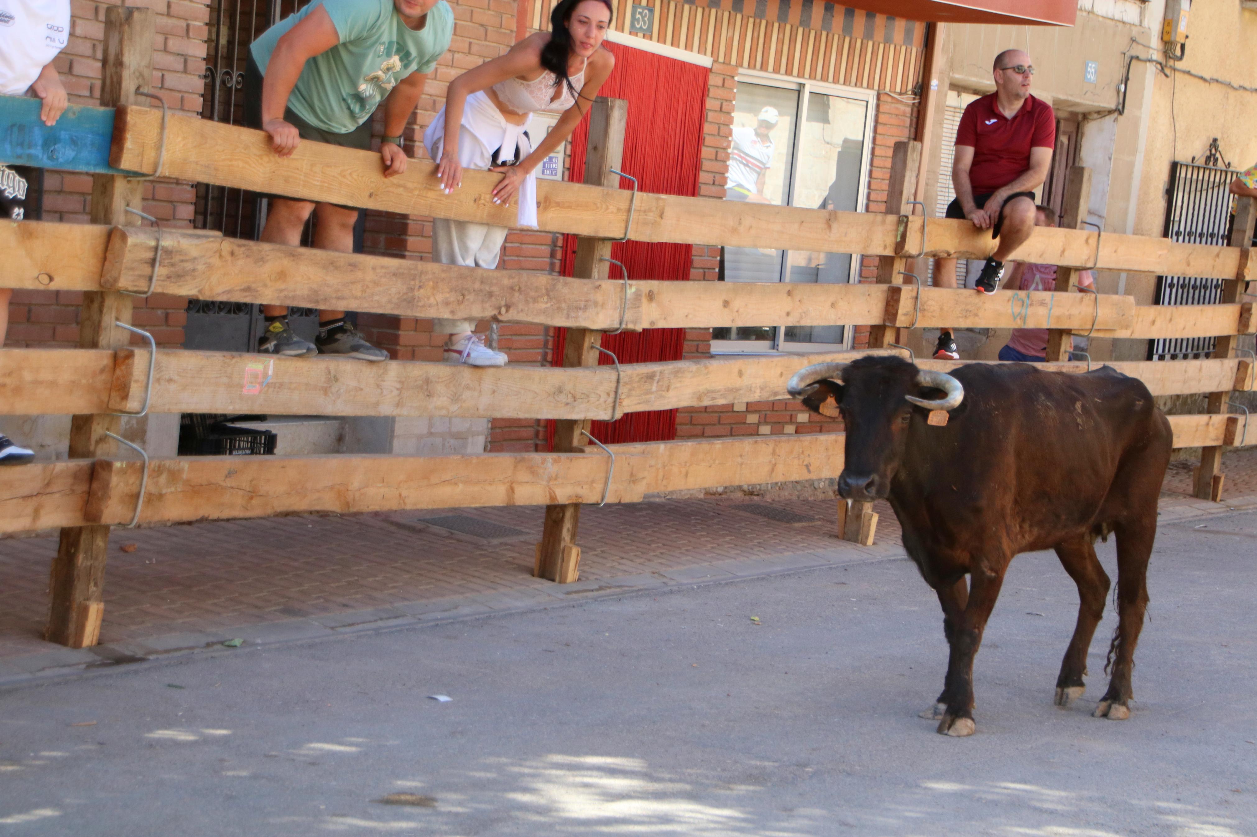 Torquemada, fiel a los encierros tradicionales