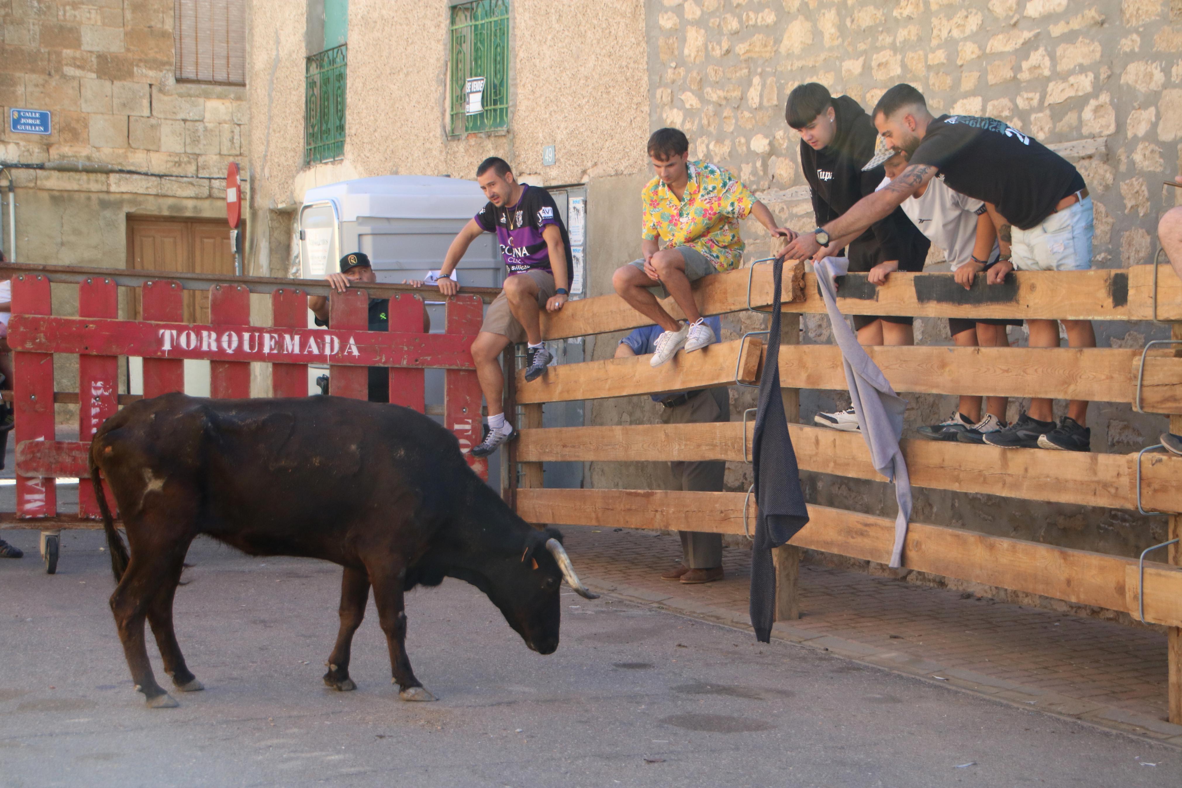 Torquemada, fiel a los encierros tradicionales