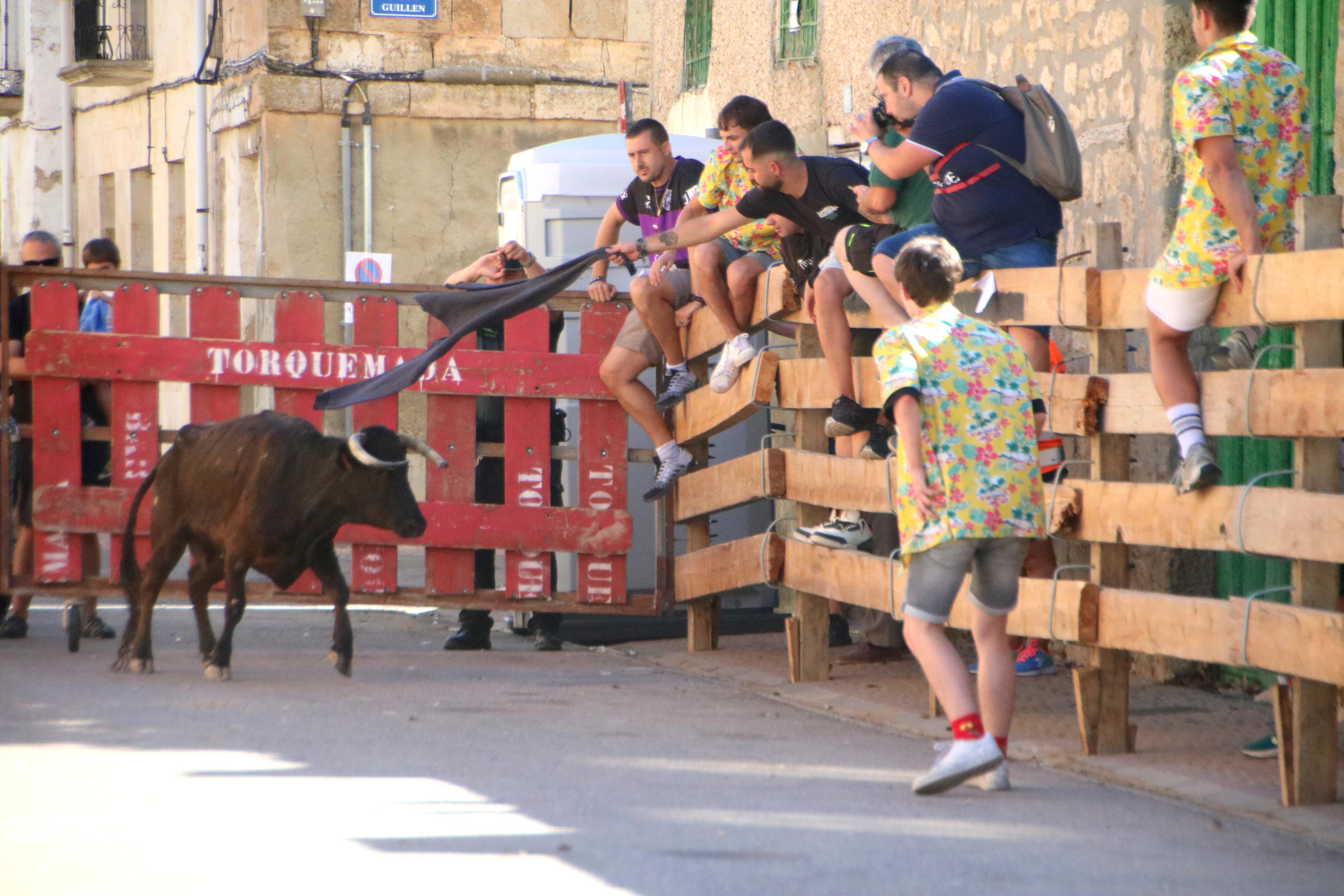 Torquemada, fiel a los encierros tradicionales