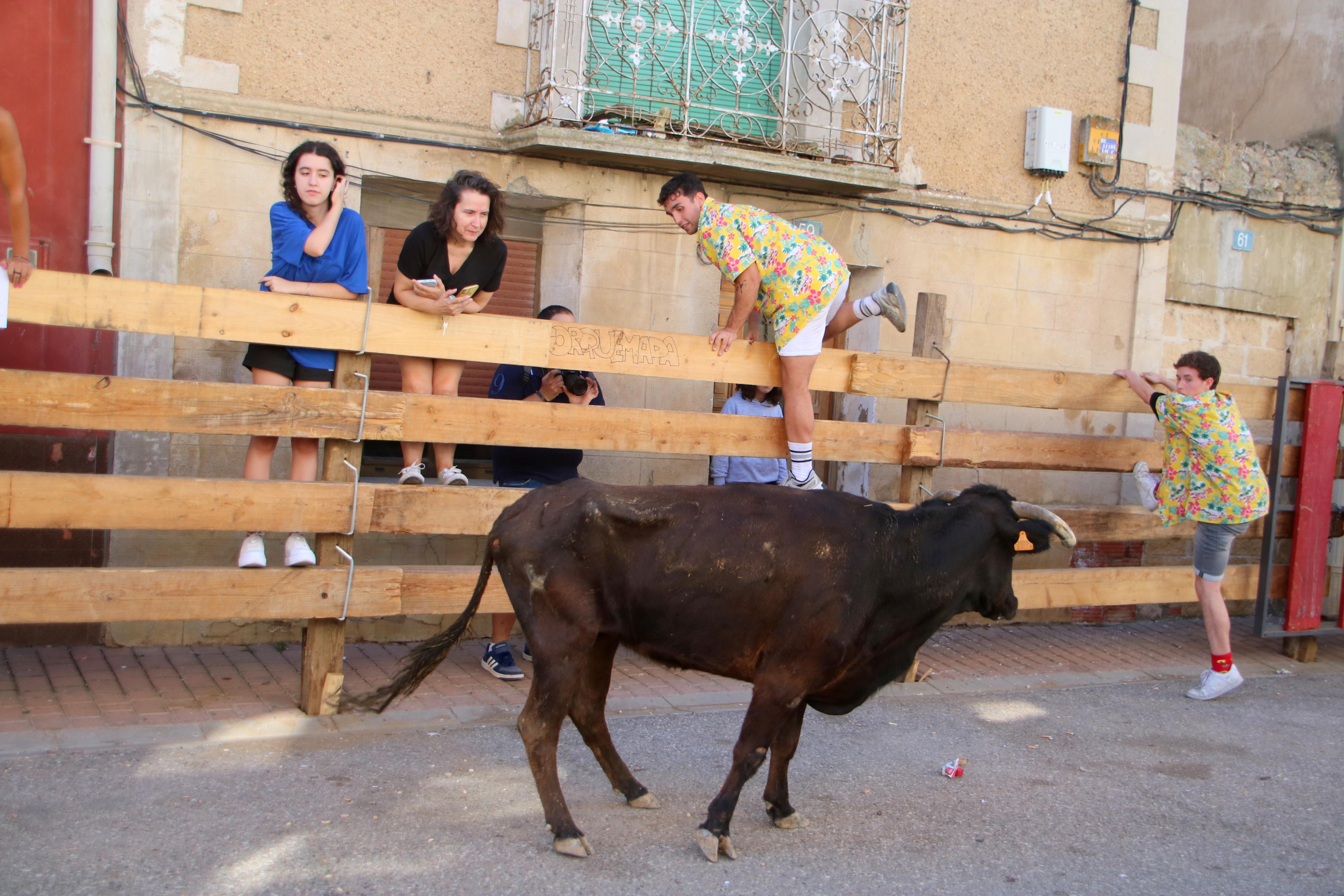Torquemada, fiel a los encierros tradicionales
