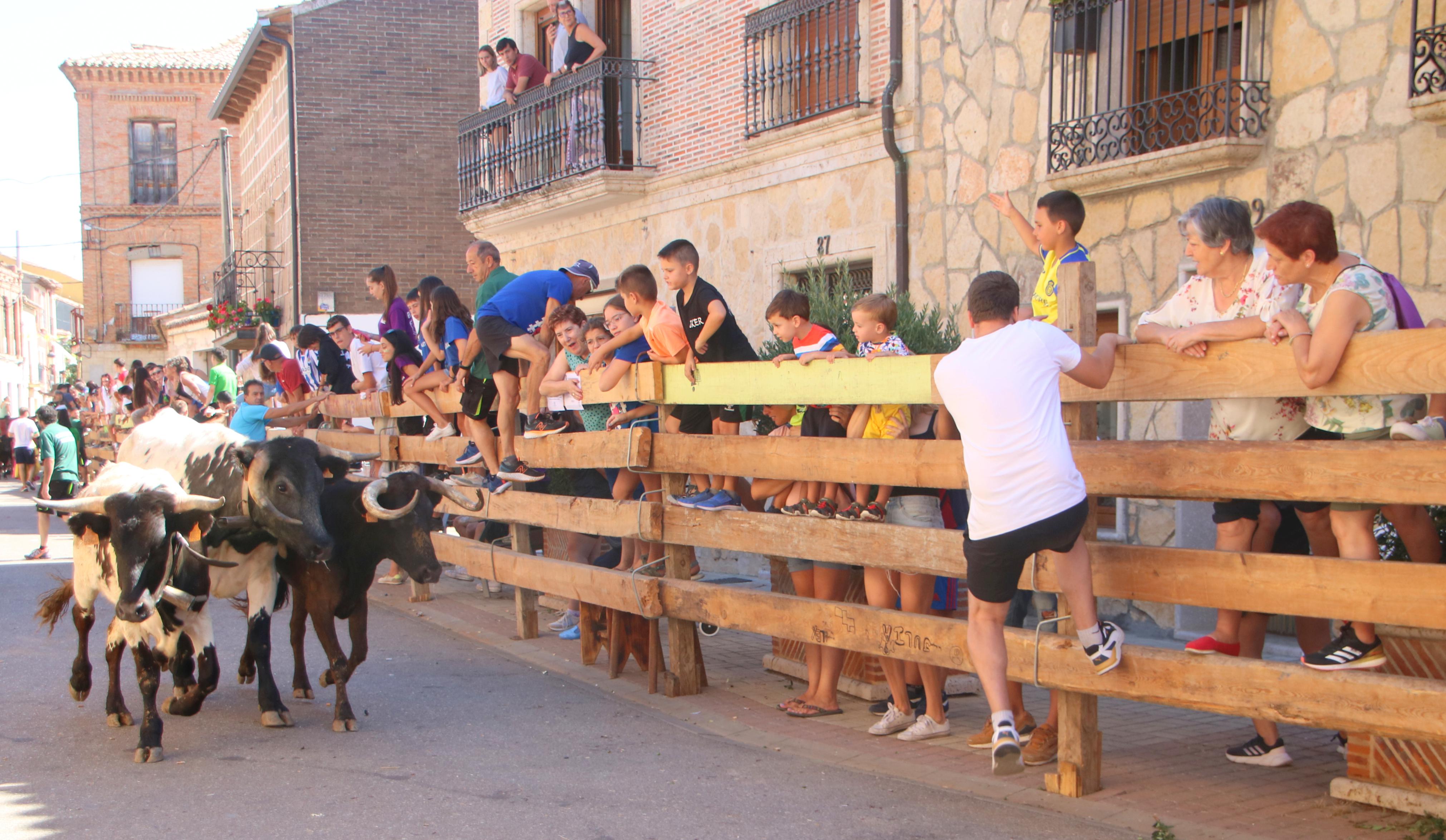 Torquemada, fiel a los encierros tradicionales