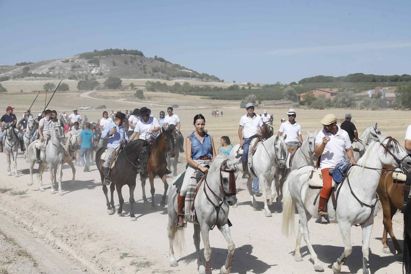 En imágenes, la trashumancia en Peñafiel a un día de comenzar las fiestas