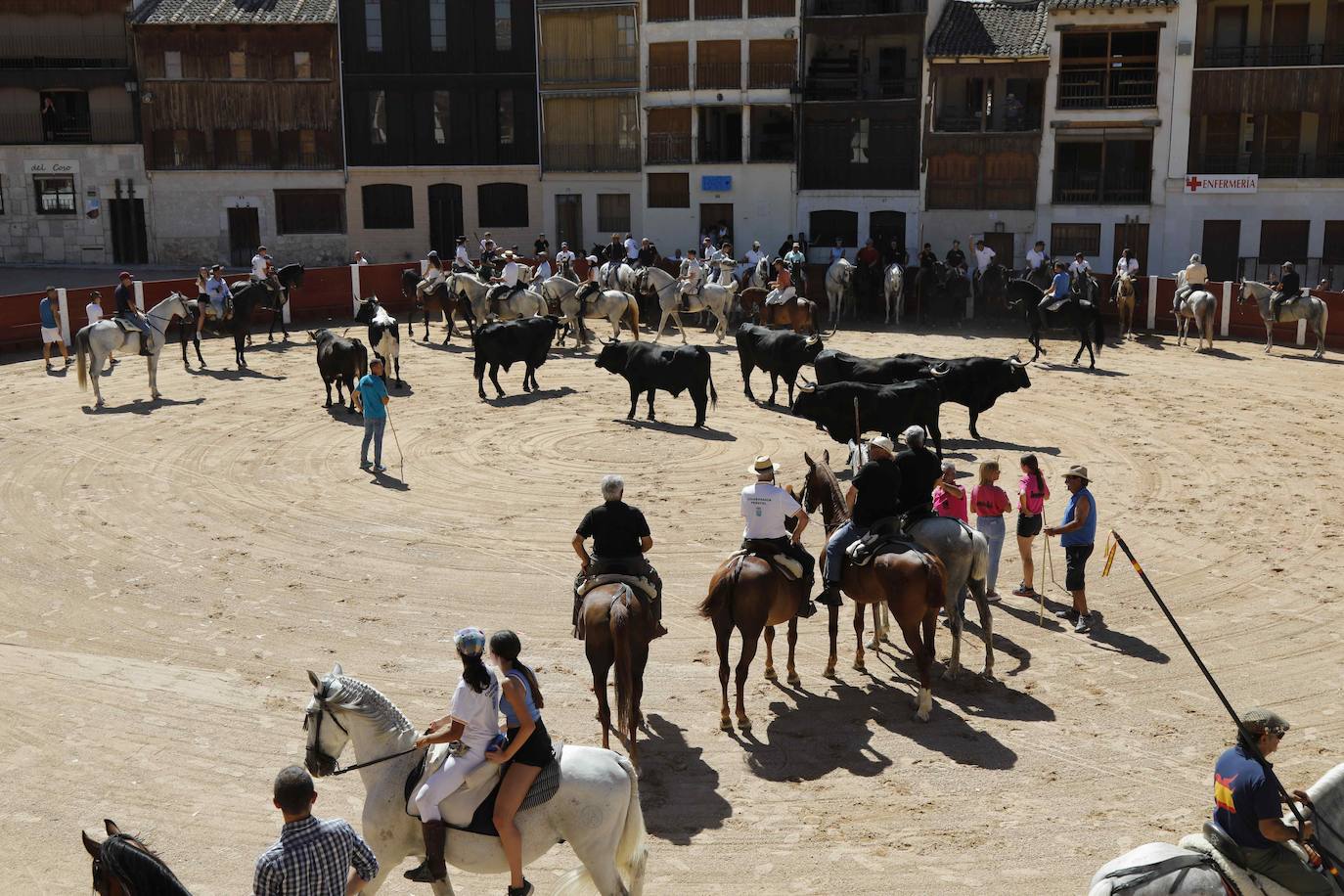 En imágenes, la trashumancia en Peñafiel a un día de comenzar las fiestas