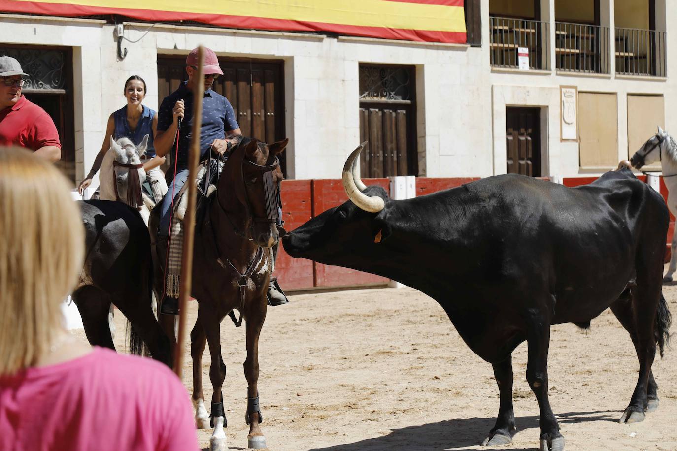 En imágenes, la trashumancia en Peñafiel a un día de comenzar las fiestas