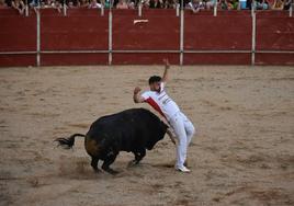 Use, tres costillas rotas en una cogida en el concurso de Tudela de Duero