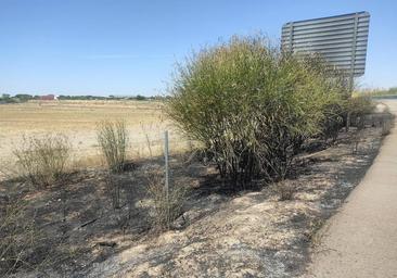 Un pequeño incendio calcina parte de una cuneta en la autovía de Pinares