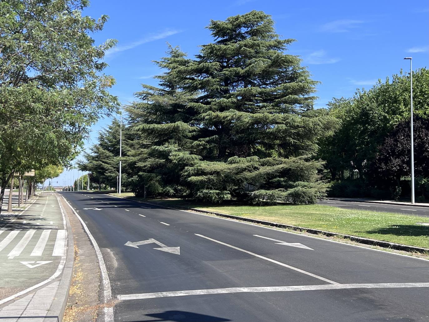 Renovación del firme en la avenida del Real Valladolid.