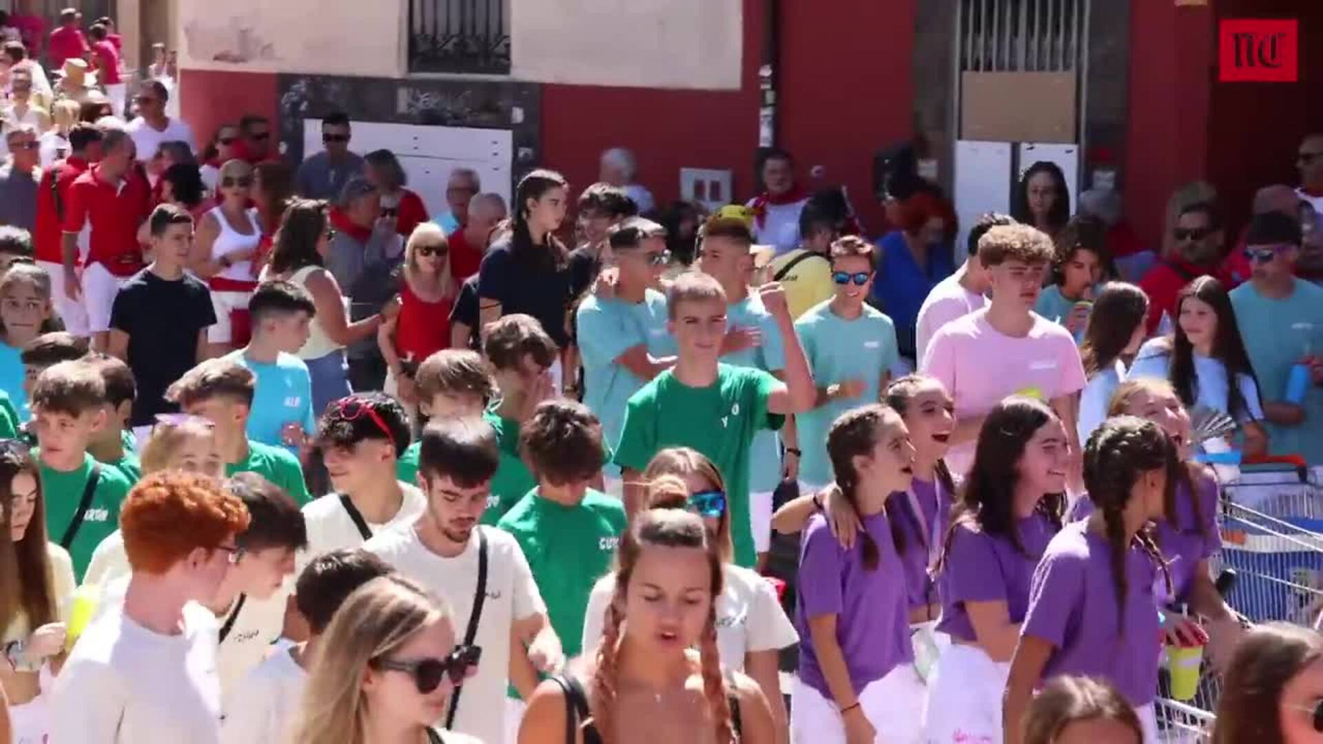 Tudela arranca las fiestas con el desfile de peñas