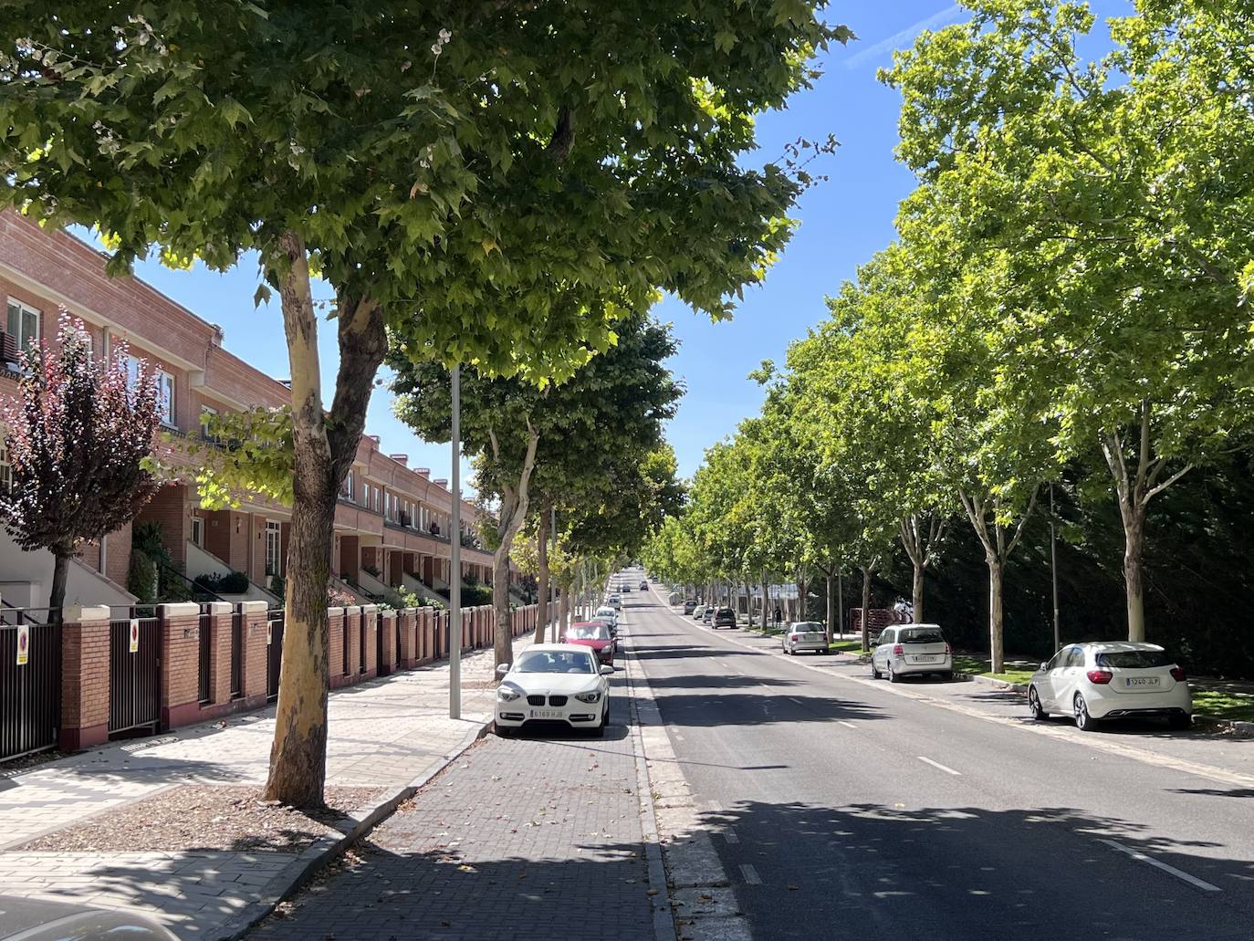 El nuevo asfalto para la etapa de La Vuelta a España en Valladolid, en imágenes